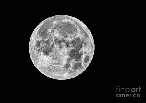 Full Moon Blue Moon Super Moon Photograph By Scott Moore
