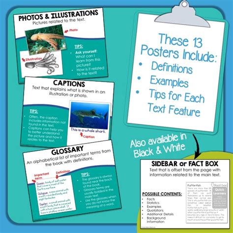 Informational Text Features Non Fiction Posters Mini Anchor