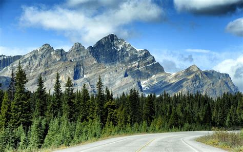 Download Wallpaper 3840x2400 Mountains Rocks Trees Spruce Sky Road