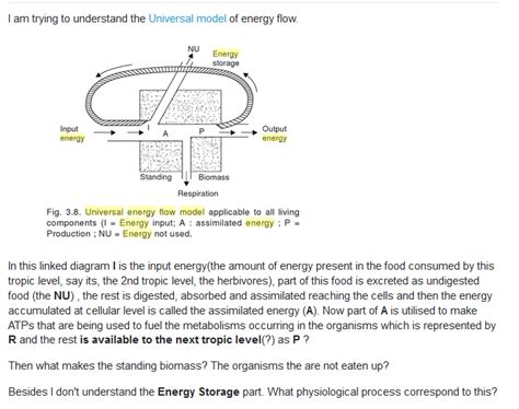Explanation Of The Universal Model Of Energy Flow Recology