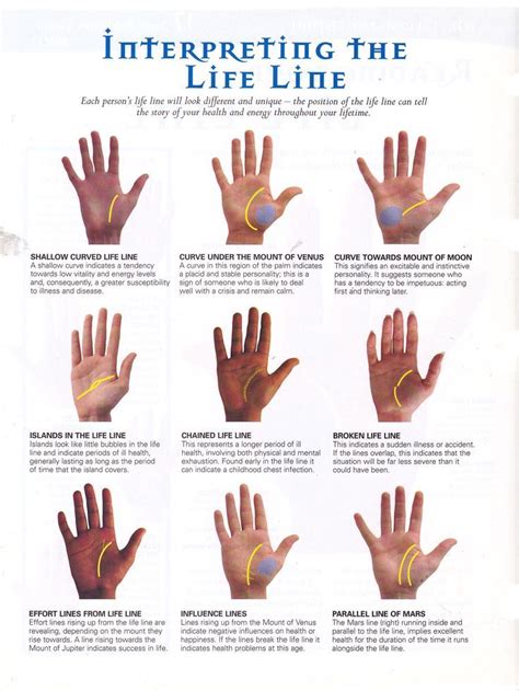An Instruction Poster Explaining How To Use The Hand