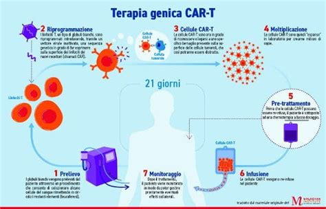 Cellule Car T Termocontrollate Eliminano I Tumori E Prevengono Le Recidive