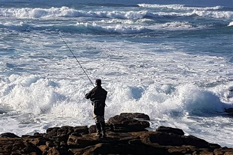 Pesca De La Lubina En Galicia Pesca Informaci N