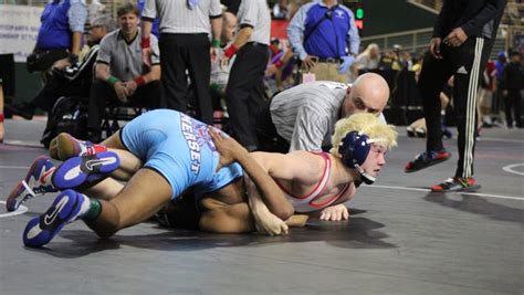 Lincoln Wrestler Grant Takes Third As Area Yields Three State Medalists