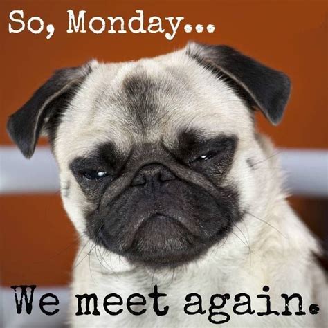 So Mondaywe Meet Again Pictures Photos And Images For Facebook