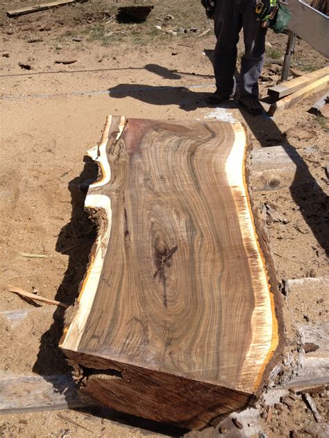 Milling Black Walnut Sawtoothwood