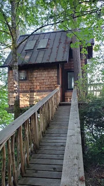 Eagles Bluff Treehouse TINY HOUSE TOWN