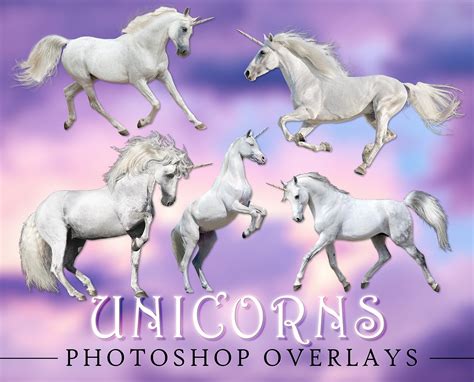 Unicorns Overlay Photoshop Overlays For Photographers Etsy