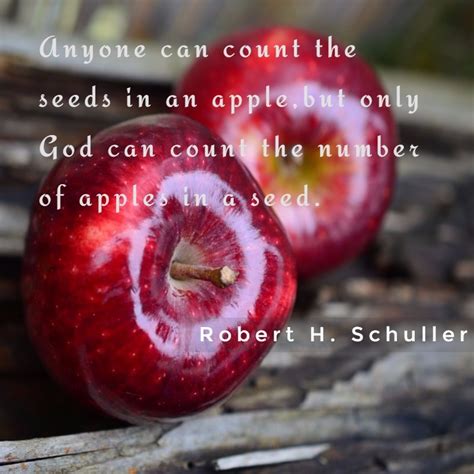 Garden Musings Quote Seeds In An Apple