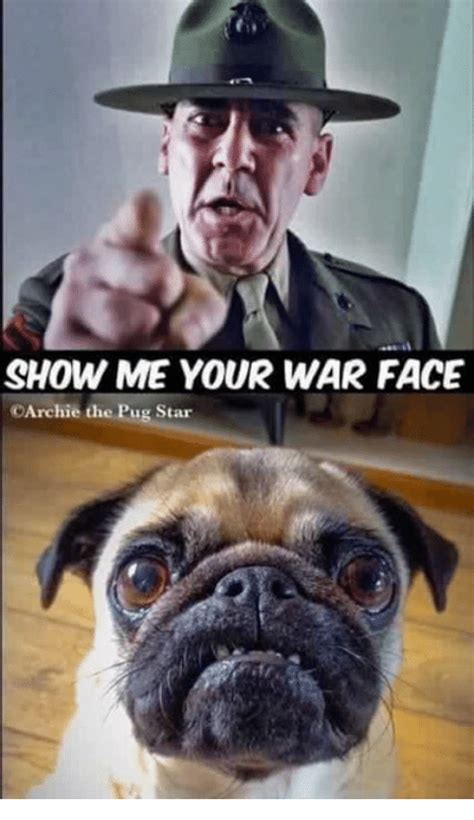 Show Me Your War Face Carchie The Pug Star Meme On Meme