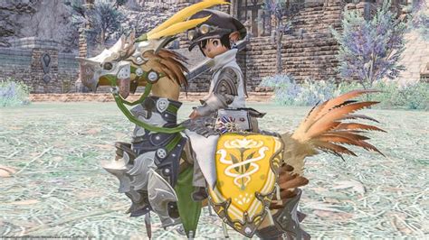 Gridanias Fashionable The Order Of The Twin Adder Senior Chocobo Armor
