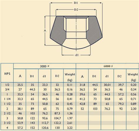 Weldolet Dimensions Chart A Visual Reference Of Charts Chart Master