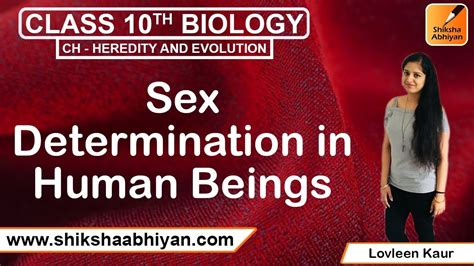 sex determination in human beings youtube