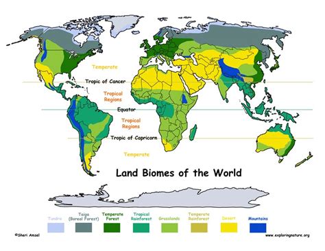 World Biomes Map Geography Maps Visual Aid Countries Map Zohal