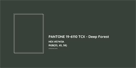 About Pantone 19 6110 Tcx Deep Forest Color Color Codes Similar