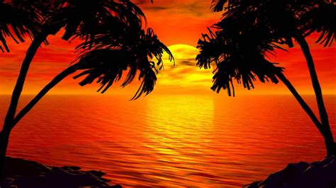 Paradise Sunset Tropical Island Palm Sea Red Sky Hd