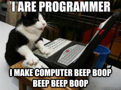 I Are Programmer Memes Cats Programming Humor
