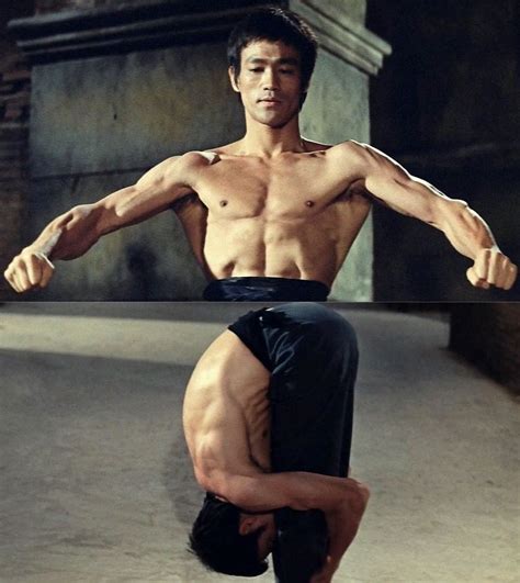 Pin By Himanshu Shashank On Anatomy Bruce Lee Photos Bruce Lee