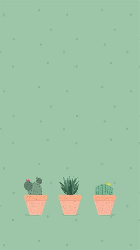 Cactus Aesthetic Wallpapers Wallpaper Cave