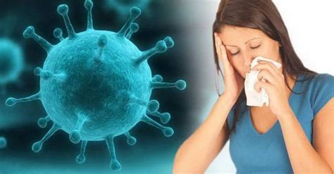 El virus sincicial respiratorio (vsr) es el microbio más común que causa infecciones en los pulmones y en las vías respiratorias en los bebés y en los niños pequeños. Habrá vacuna contra influenza, conoce los síntomas y ...