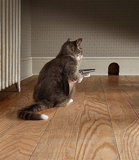 The mayhem really got me. Tom and Jerry Real Life | YAB Yg Amat Bamna