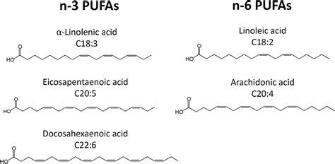 Frontiers Long Chain Polyunsaturated Fatty Acids Lcpufas In The