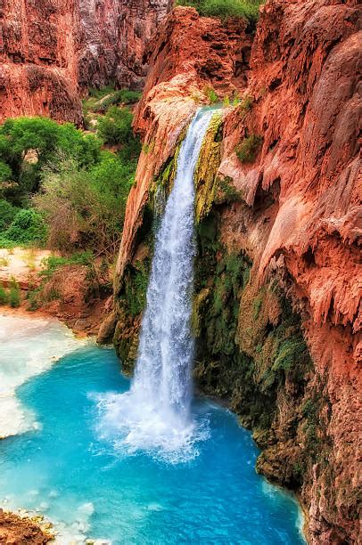Havasu Falls Stock Photos Pictures And Royalty Free Images Istock