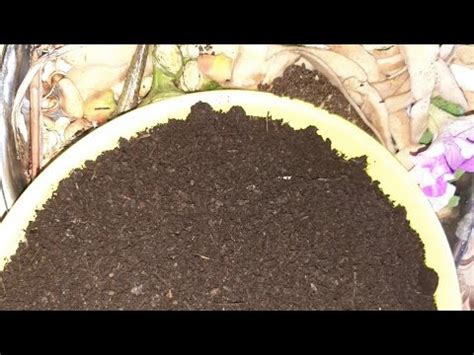 Sprinkle some water if you find the pile too dry. How to make compost using kitchen waste at home without ...