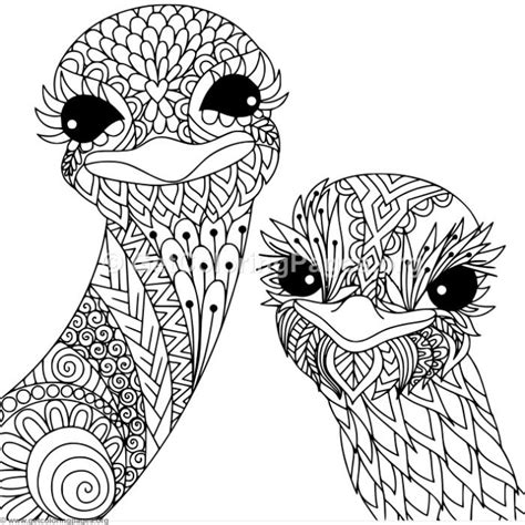 Zentangle Ostrich Coloring Pages – GetColoringPages.org