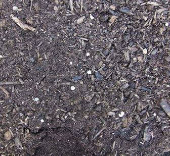 Maybe you would like to learn more about one of these? Peat Moss - The Black Dirt Company
