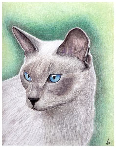 Siamese Cat By Lynette Vinck Siamese Cats Cats Animals