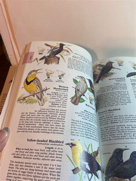 Readers Digest North American Wildlife Illustrated Guide To Etsy