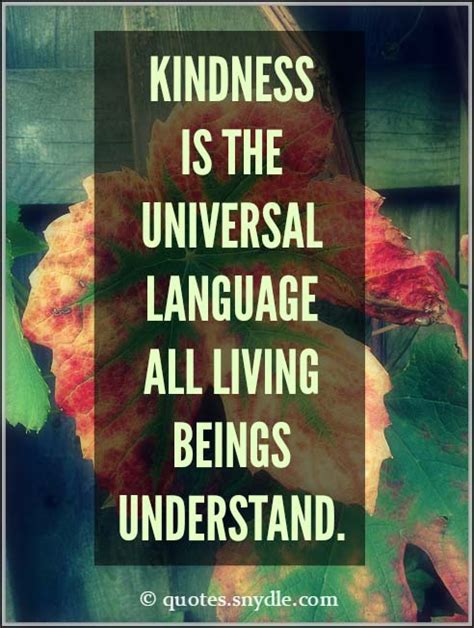 Quotes About Kindness With Images Quotes And Sayings