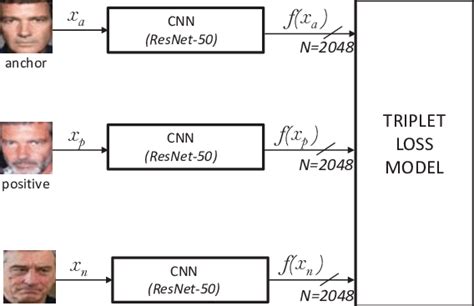 Triplet Loss Architecture For The Case Of Using Resnet 50 Dcnn Download Scientific Diagram