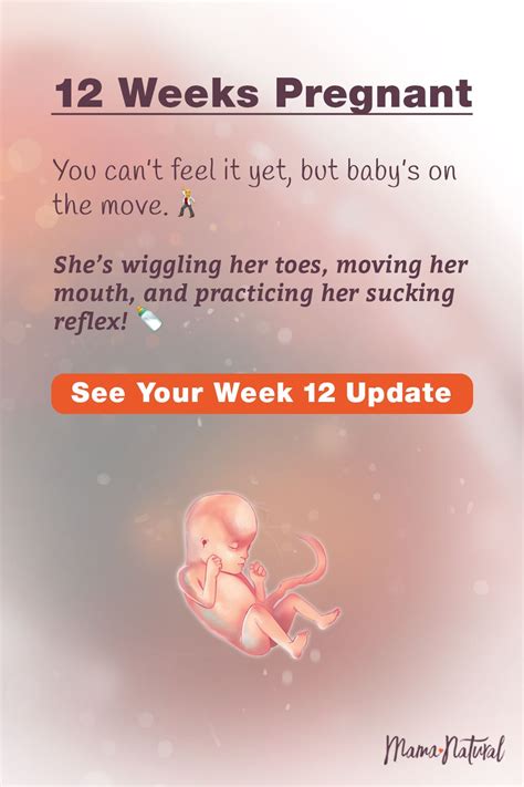 Pin On Natural Pregnancy Week By Week