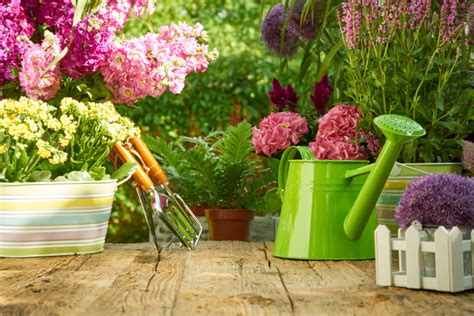 Er sagt da nicht nein, denn erstens mag er … Garten-Tipps-Sommer - Blog von Town und Country Haus