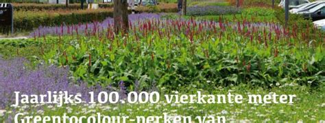 After the coronavirus forced the tokyo games to be pushed back a year, athletes from across the world sporting news is tracking the top 15 countries in terms of medal count during the 2021 tokyo games. maart 2021: Stad+Groen - 'Jaarlijks 100.000 vierkante ...