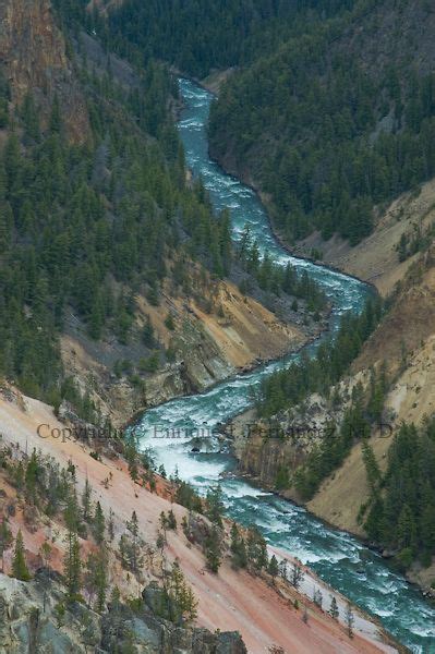 Yellowstone River Divine Nature Images Wyoming Vacation