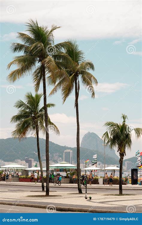 Palm Trees On The Sidewalk Of Copacabana Beach In Rio De Janeiro Brazil