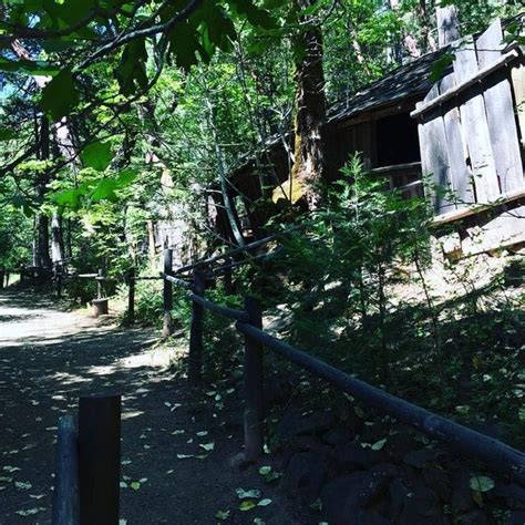 see 21 photos and 2 tips from 237 visitors to the oregon vortex house of mystery it s fun