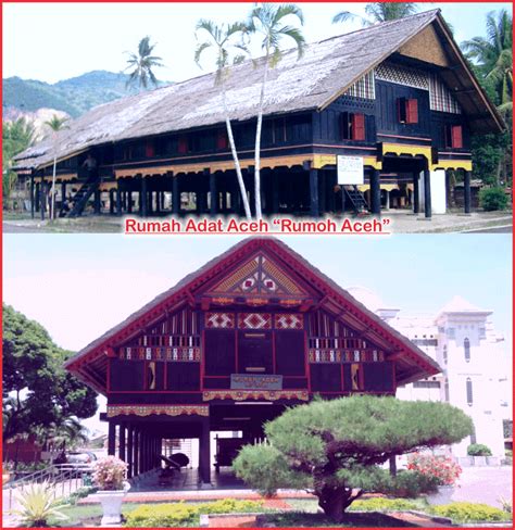 22 Rumah Adat Aceh Dan Gambarnya Terbagus Top Gambar Rumah 24