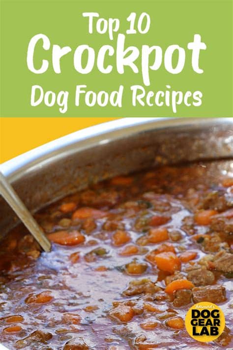 Dogs with diabetes need to have insulin therapy for life. Wiry Dog Training Supplies #doggy #DogsAccessoriesBandana ...