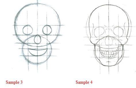 Add shadows and highlights to make the cranium drawing look more voluminous and beautiful. How to draw guide - learn how to draw » How to draw a skull