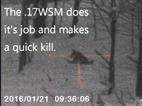 Michigan Coyote Hunt With Photon Xt Night Vision Youtube