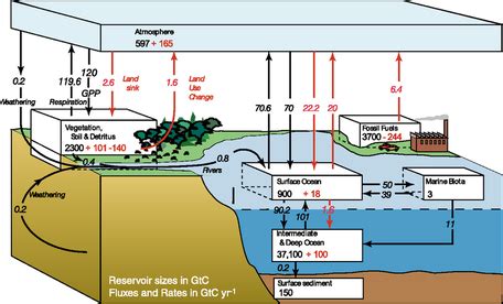 Modeling the Complexities of the Carbon Cycle Utilizing Excel