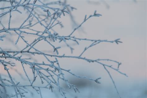 Hintergrundbilder Himmel Schnee Winter Ast Blau Eis Kalt Frost