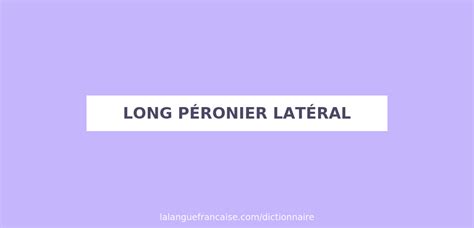 Définition De Long Péronier Latéral Dictionnaire Français