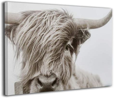 Highland Cow Canvas Wall Art Highland Cow Prints Canvas Art Cow Poster