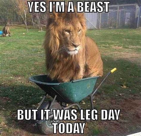 36 Hilarious Leg Day Memes For When Youre Sore And Feel Like Dying