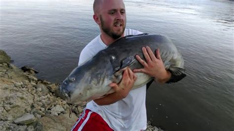 Trophy Blue Catfish Caught On The Mississippi River Youtube
